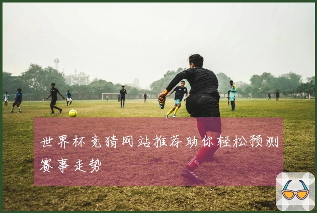 世界杯竞猜网站推荐助你轻松预测赛事走势