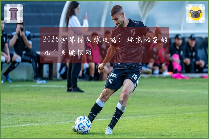 2026世界杯买球攻略：玩家必备的几个关键技巧