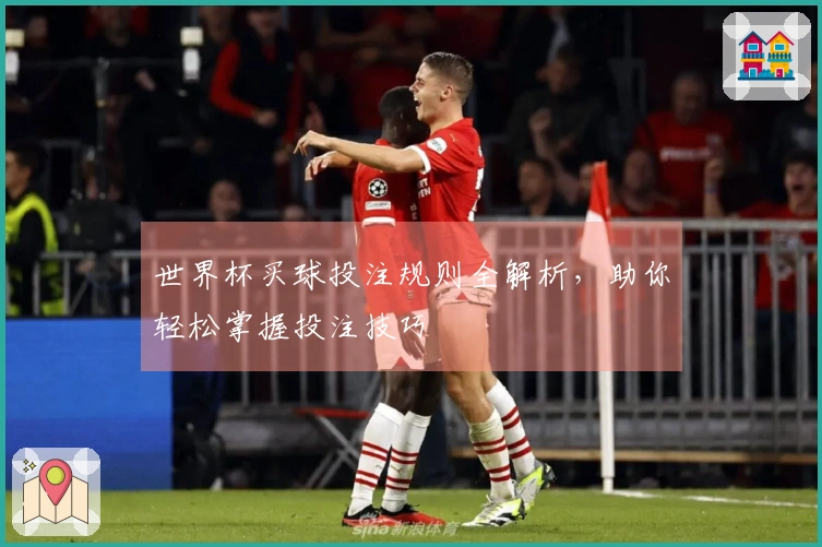 世界杯买球投注规则全解析，助你轻松掌握投注技巧