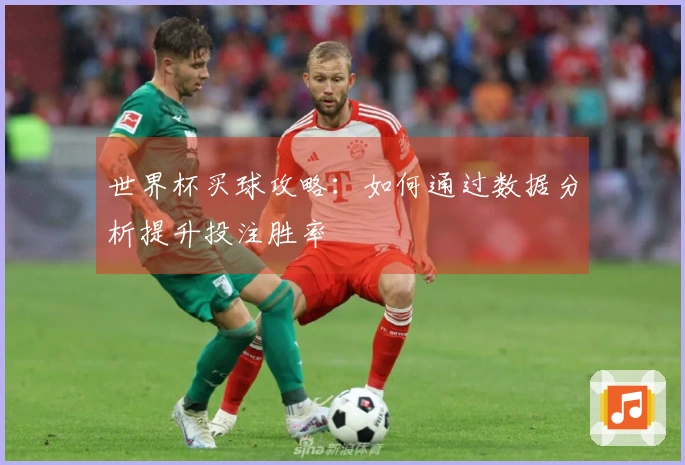 世界杯买球攻略：如何通过数据分析提升投注胜率