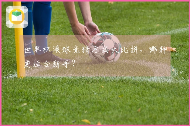世界杯滚球竞猜方式大比拼，哪种更适合新手？