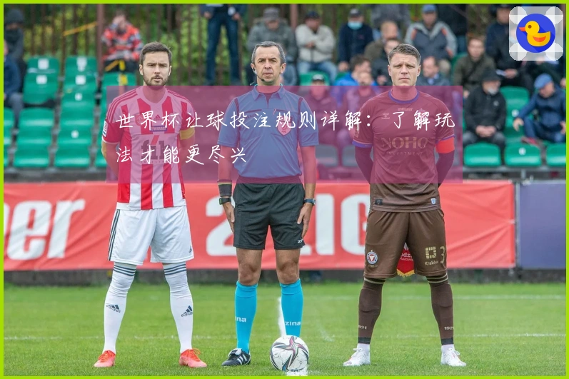 世界杯让球投注规则详解：了解玩法才能更尽兴