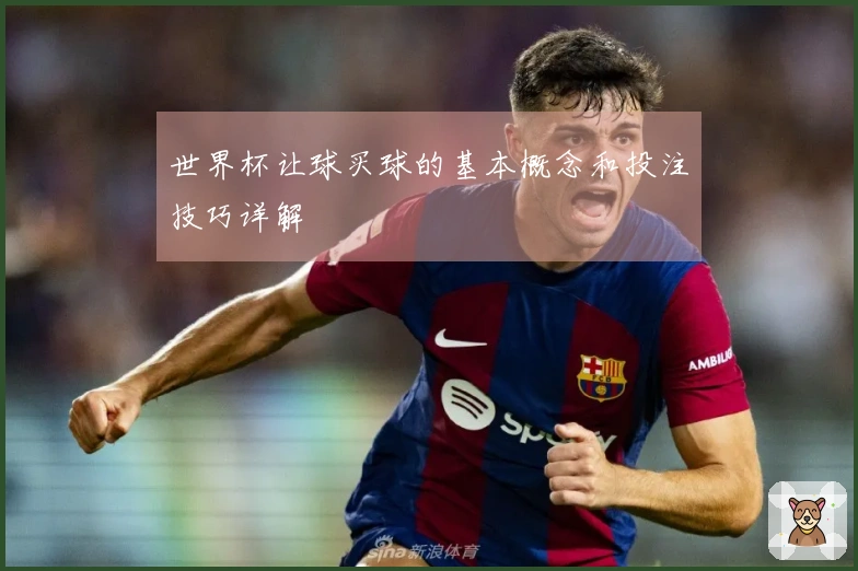 世界杯让球买球的基本概念和投注技巧详解