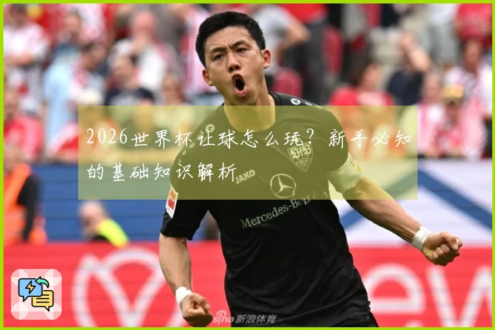 2026世界杯让球怎么玩？新手必知的基础知识解析