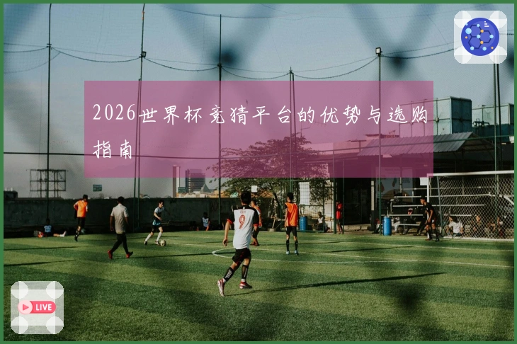 2026世界杯竞猜平台的优势与选购指南