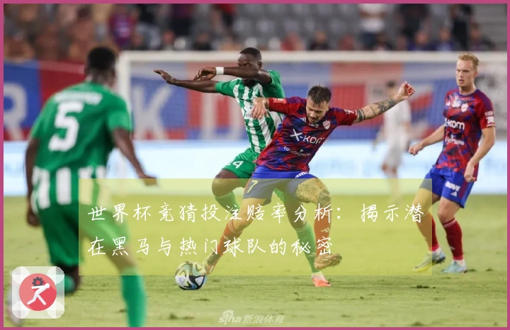 世界杯竞猜投注赔率分析：揭示潜在黑马与热门球队的秘密