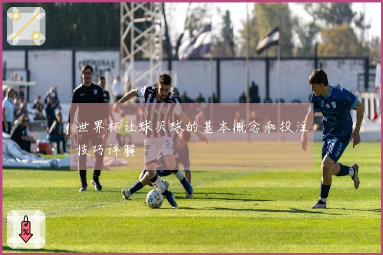 世界杯让球买球的基本概念和投注技巧详解