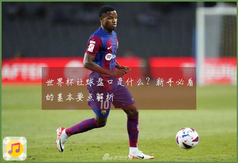 世界杯让球盘口是什么？新手必看的基本要点解析